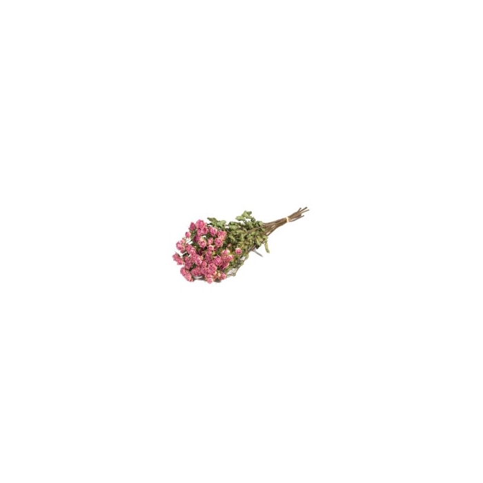 <h4>.Roses spray light pink</h4>