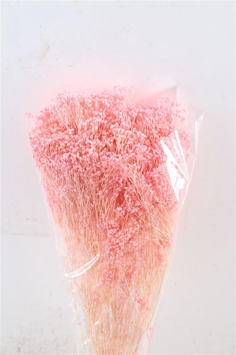<h4>Dried Brooms Light Pink Bunch</h4>