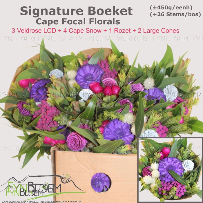 <h4>KAAPS GROE GEM IN BS</h4>