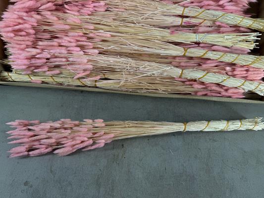 <h4>Df Lagurus Bs 50g/70cm L.pink</h4>