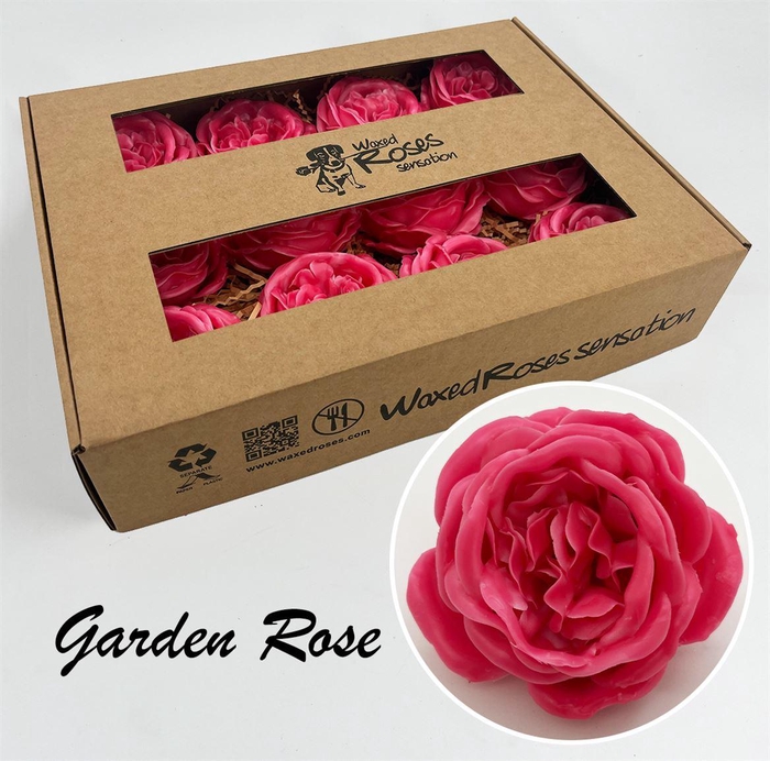 <h4>Zijde R Garden Wx Fuchsia</h4>