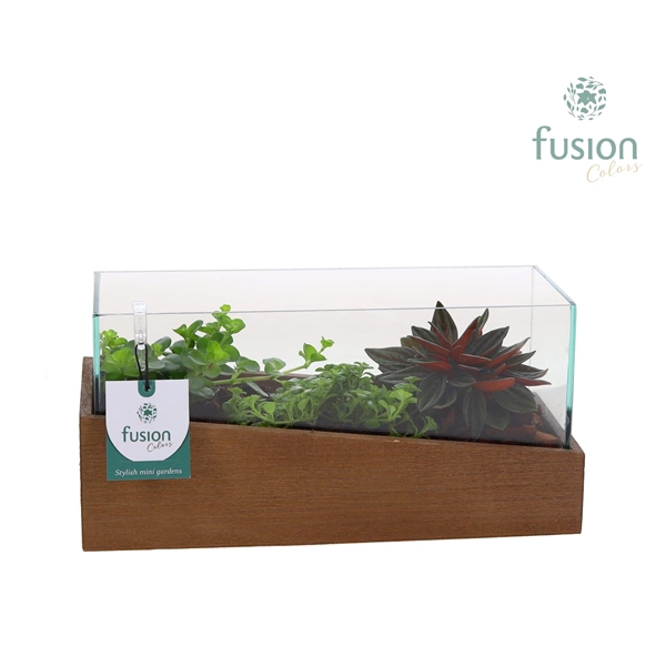 <h4>Aquarium Small met groene planten</h4>