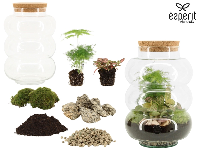 <h4>90859: DIY Terrarium arrangement</h4>