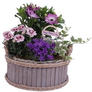 Mothersday Arr. Outdoor Wooden Pot Waterhyacinth Rim Ø25cm 4PP
