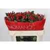 Hypericum True Romance Spray