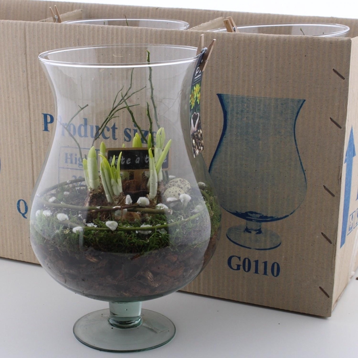 <h4>ARR N TETE A TETE</h4>