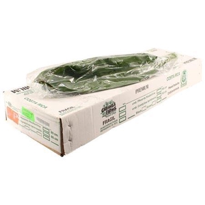 Green Tie 80cm V P