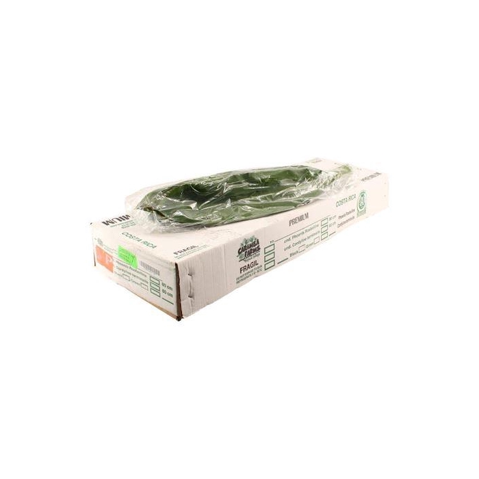 <h4>Green Tie 80cm V P</h4>