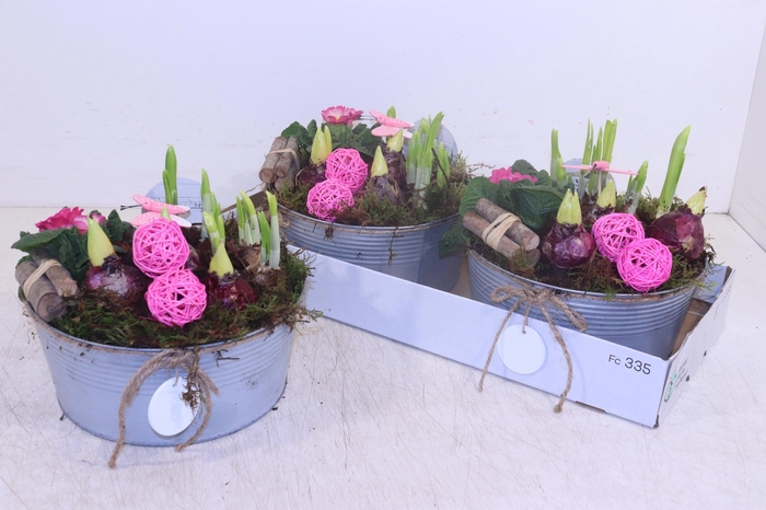 <h4>ARR TUINPLANTEN</h4>