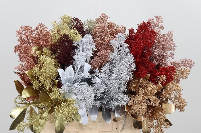 <h4>Skimmia Kl Bh Mix</h4>