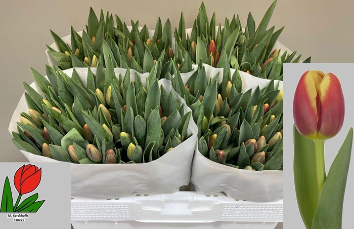 <h4>TU EN REPLAY</h4>