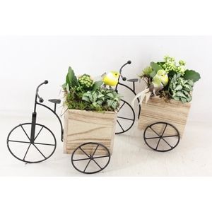 arr2 TD - Driewieler - roze/wit