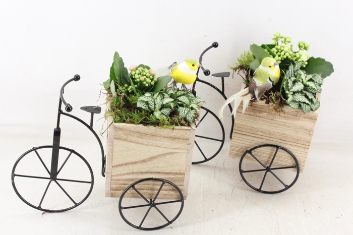 <h4>arr2 TD - Driewieler - roze/wit</h4>