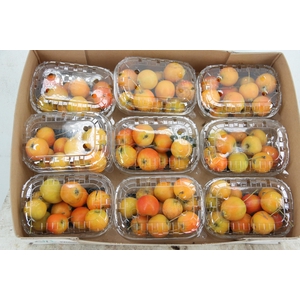 MALUS GARFIELD BOX