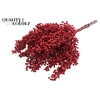 Dried schinus mollis paint red