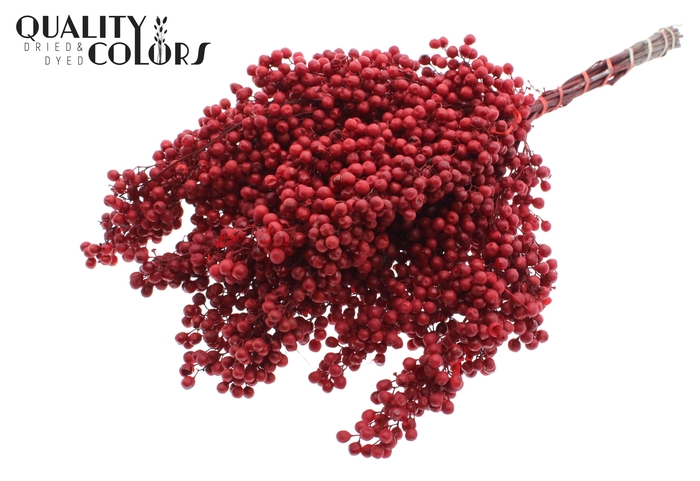 Dried schinus mollis paint red