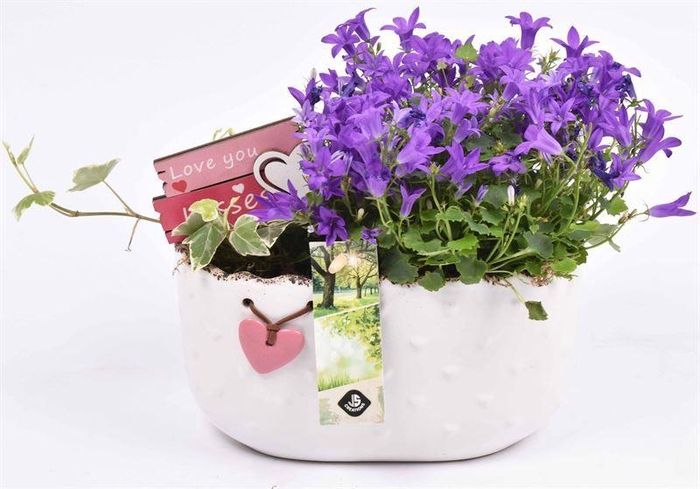 <h4>Keramiek ovaal met hartje 19.5x11CM</h4>