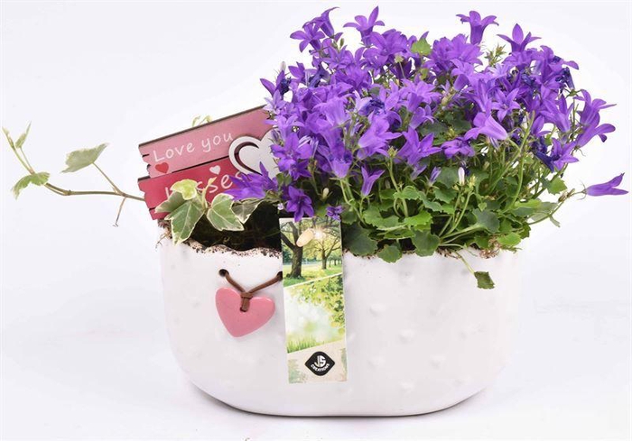 <h4>Keramiek ovaal met hartje 19.5x11CM</h4>