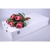 Protea Empress