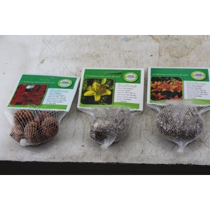 BULBOS DE FLORES NATURAIS