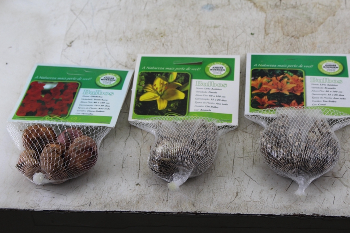 <h4>BULBOS DE FLORES NATURAIS</h4>
