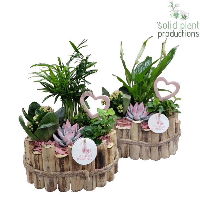 <h4>HVSCE003 Bologna Small Pink</h4>