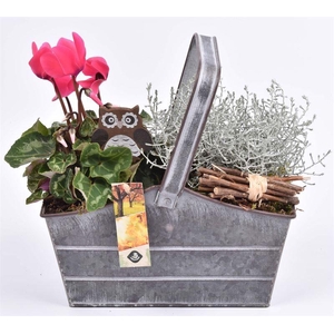 Zink rechthoek met hengsel 24x11cm