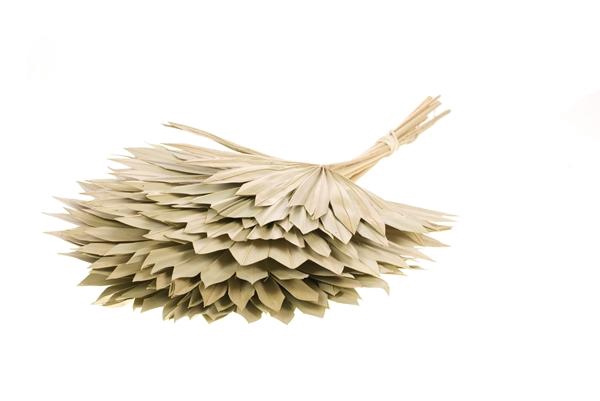 <h4>Palm Sun 10pc Bunch Natural</h4>