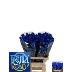 R GR OV KLB H%
