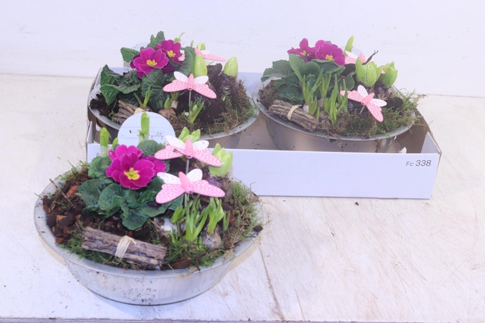 <h4>ARR TUINPLANTEN</h4>