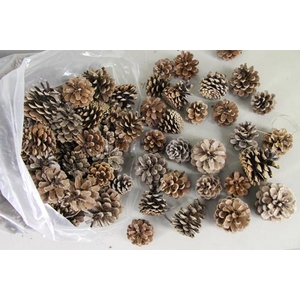 Pine Cone Natural (bag 5kg)