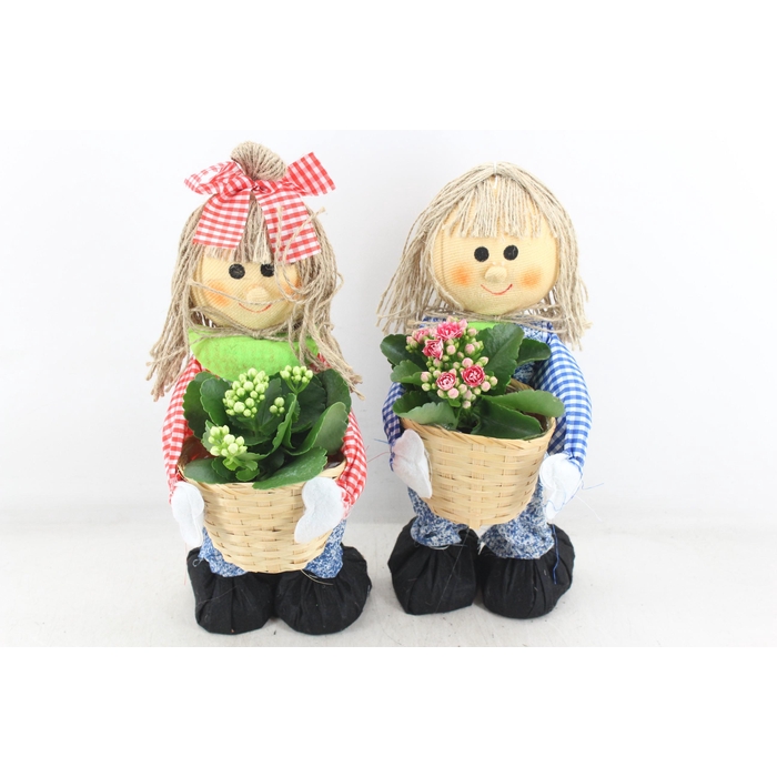 <h4>Arr2 Td - Boer & Boerin Pop - Roze/wit</h4>