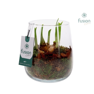 Glas Alzada klein met Narcissus