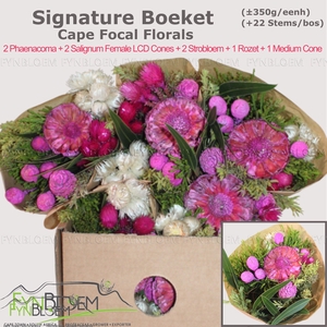 KAAPS GROE GEM IN BS