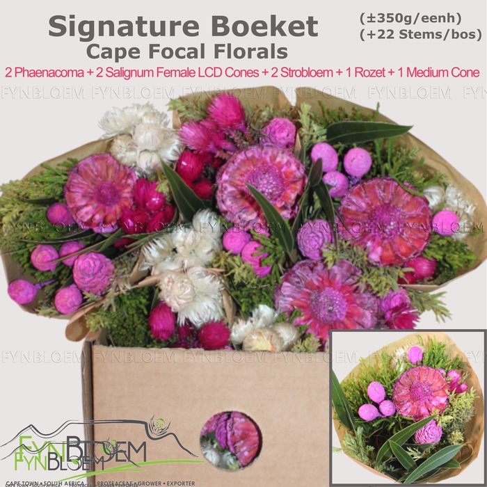 <h4>KAAPS GROE GEM IN BS</h4>