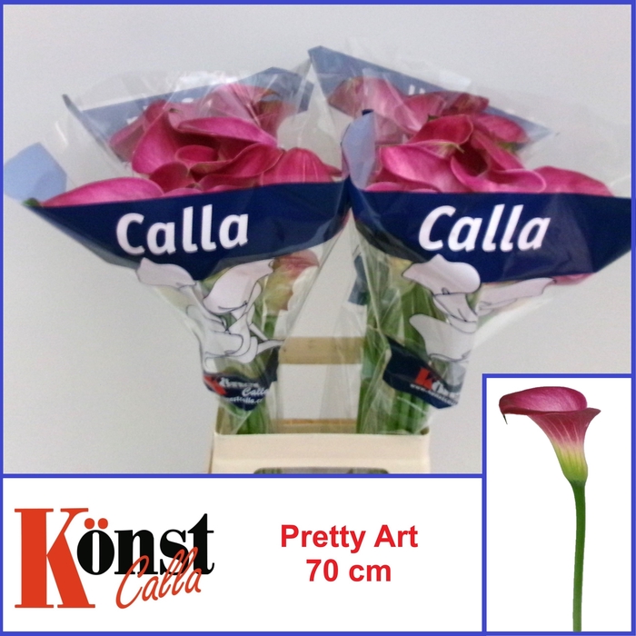 <h4>ZANT PRETTY ART</h4>