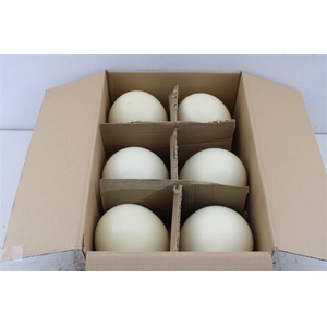 Easter Eggs ( Ostrich )