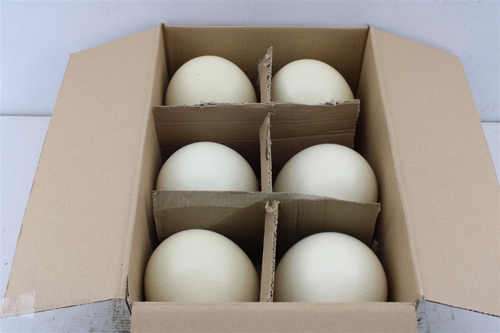 <h4>Easter Eggs ( Ostrich )</h4>