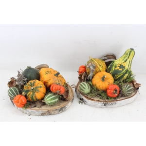 arr4 Sierfruit MB - Hout schijf x5