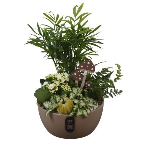<h4>PTHI3250 Arrangement Autumn Indoor in keramiek schaal</h4>