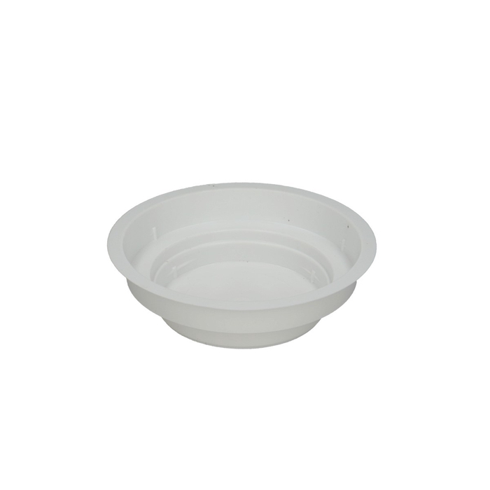 <h4>Oasis Junior bowl 12*3cm</h4>