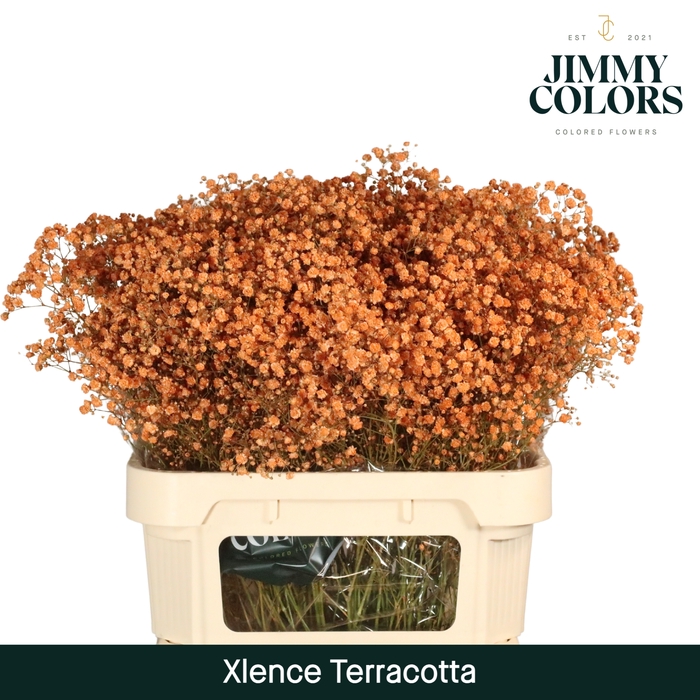 <h4>Gyps Xlence L80 Terracotta</h4>