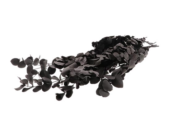 Bunch Euca Espiral Pres.150g L65