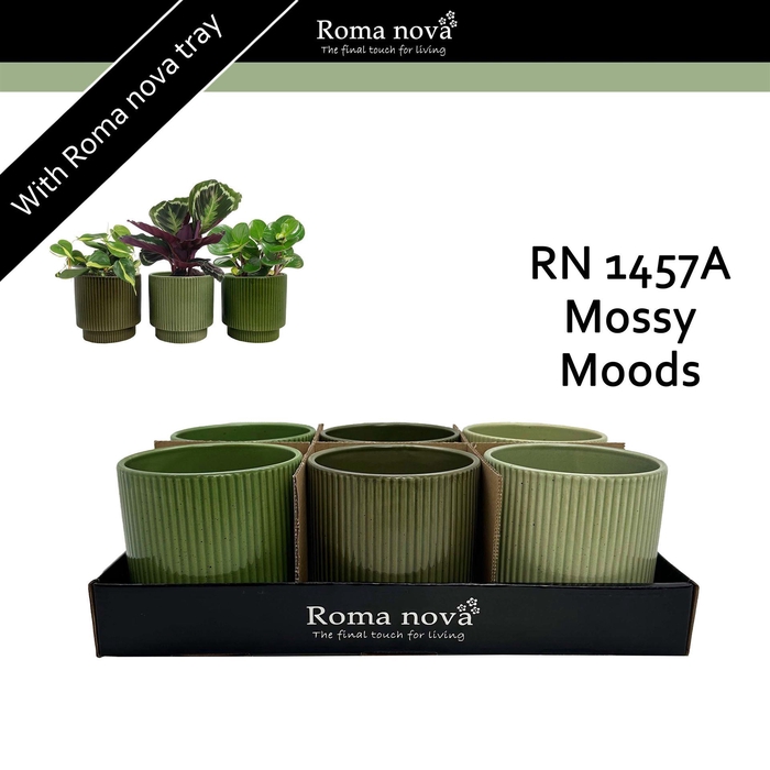 <h4>Pot   ...Keramiek H%</h4>