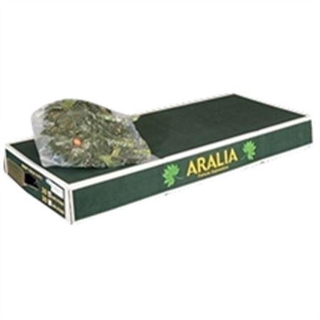 <h4>Aralia Vacuum Orca Per Bos</h4>