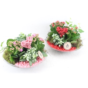 arr2 PL - Glas schaal 27cm - roze/rood