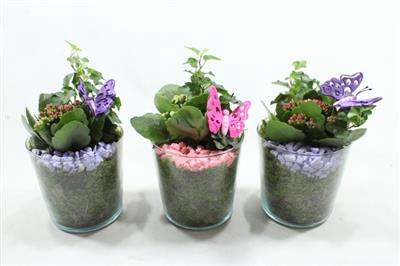 <h4>9645 POT ZWAAR ROZE/LILA</h4>
