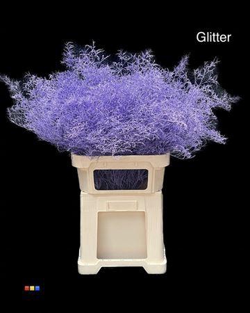 <h4>Limonium Milka + Glitter Bio</h4>