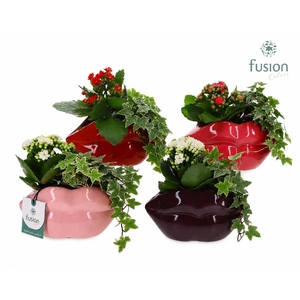 Keramiek Lippen planter met arrangement