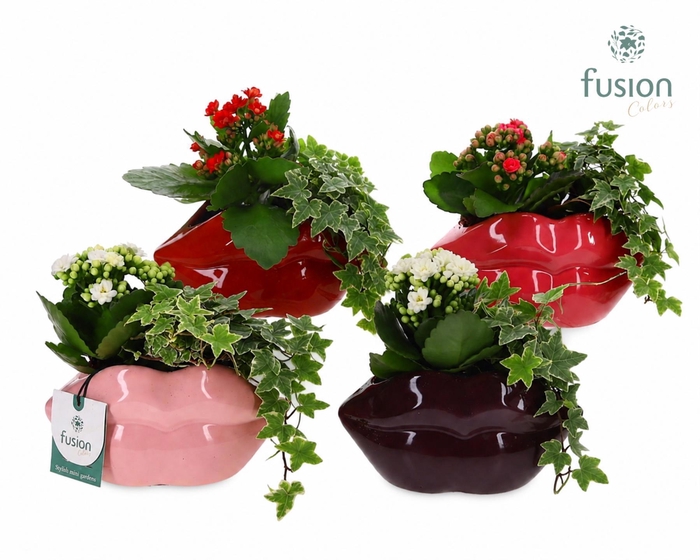 <h4>Keramiek Lippen planter met arrangement</h4>